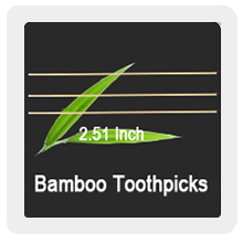 Bamboo Toothpicks