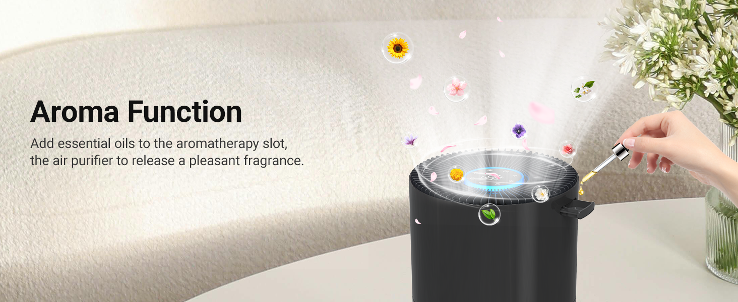 Home Air Purifier