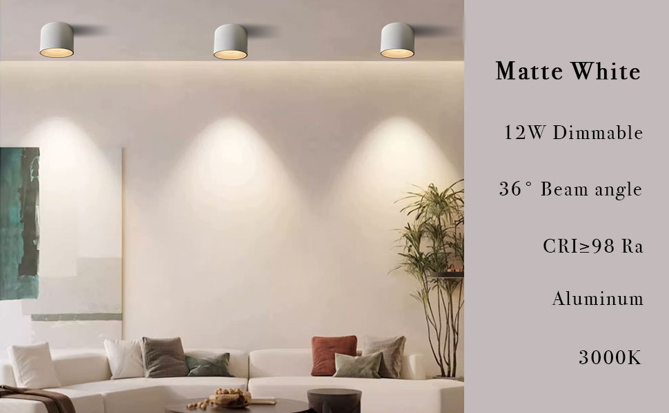 Cylinder Dimmable Ceiling Spot light