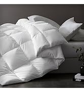 downluxe Luxurious Down Fiber Comforter with Premium Fabric, All Seasons Medium Warmth Duvet Inse...
