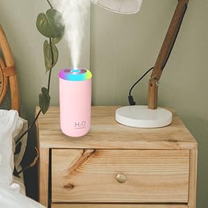 plant humidifier