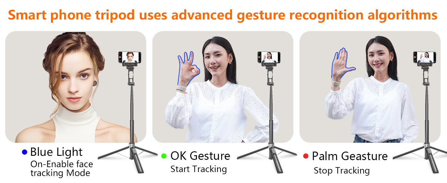 phone tripod with light