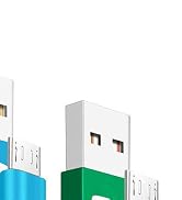 Aioneus