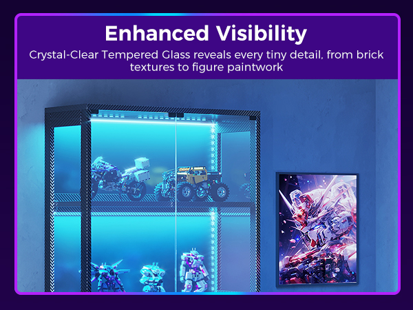 display case