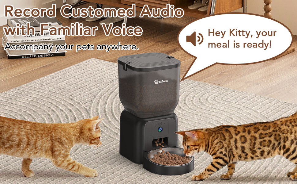 automatic cat feeder