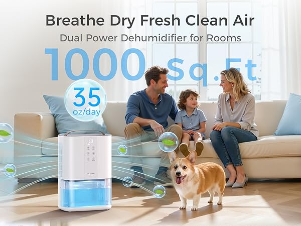 Dehumidifiers for Home