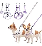 BEAUTYZOO 2 Pack Small Vest Harness and Leash Set, No Pull No Chock Puppy Step in Dog Harness Nyl...