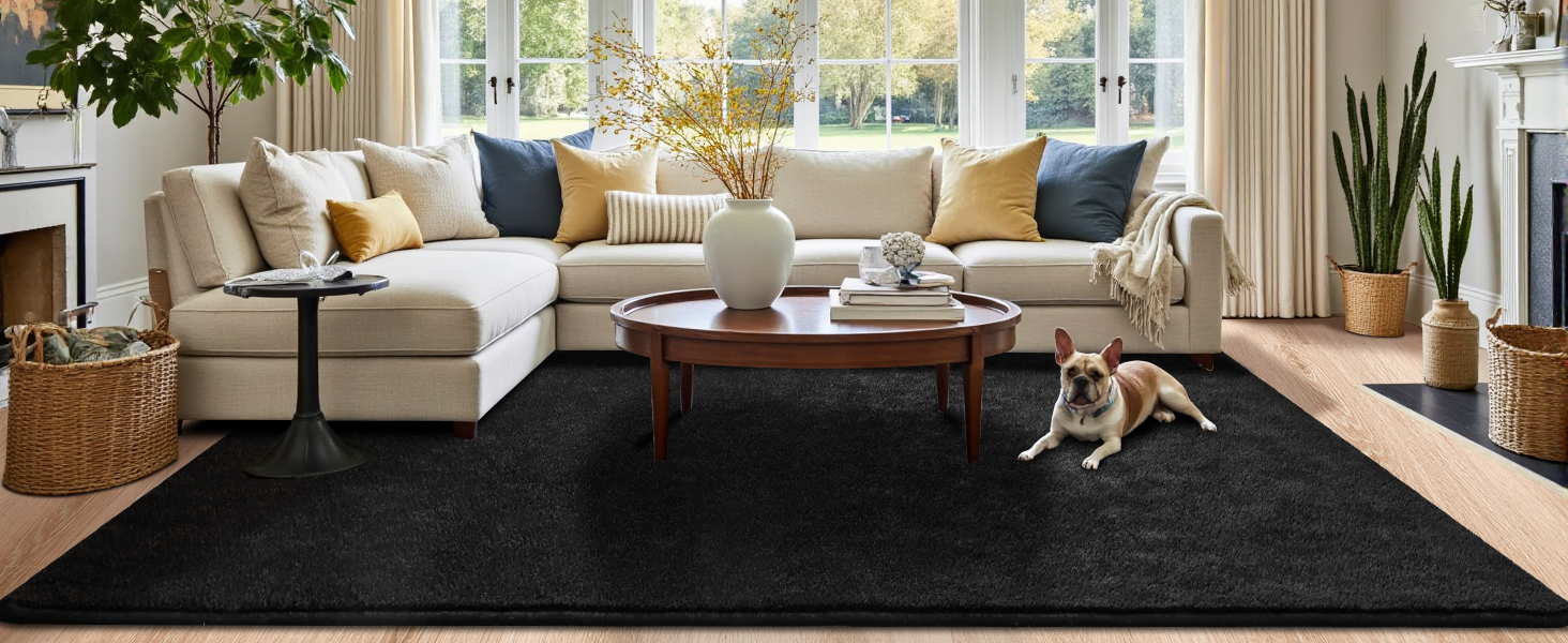 6x9 Washable Area Rugs for Bedroom Living Room Classroom Soft Memory Foam Rug for Kids Carpet Black