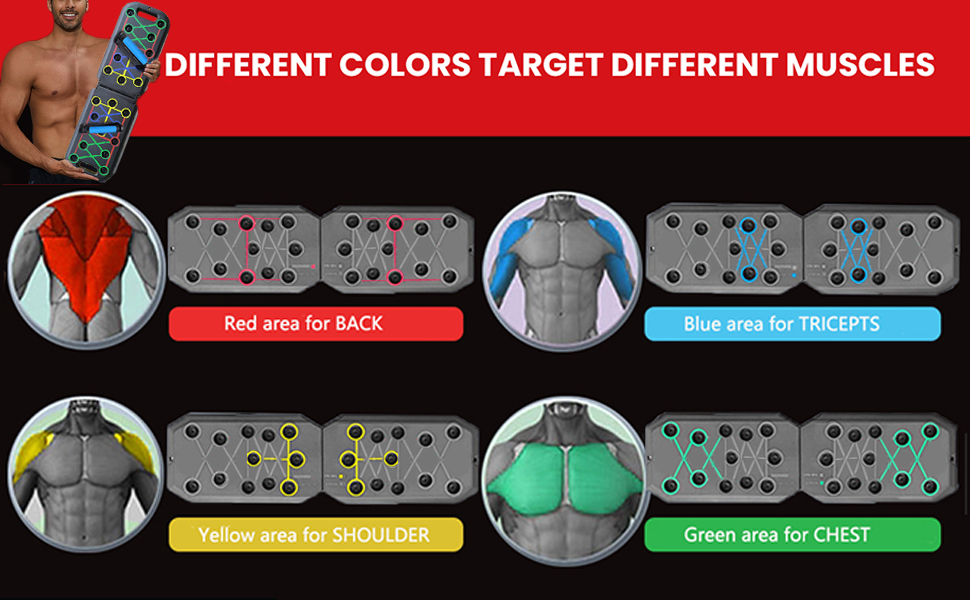 Text reads 'DIFFERENT COLORS TARGET DIFFERENT MUSCLES'. Infographic showing four body diagrams with colored highlight areas indicating different muscle group targeting.