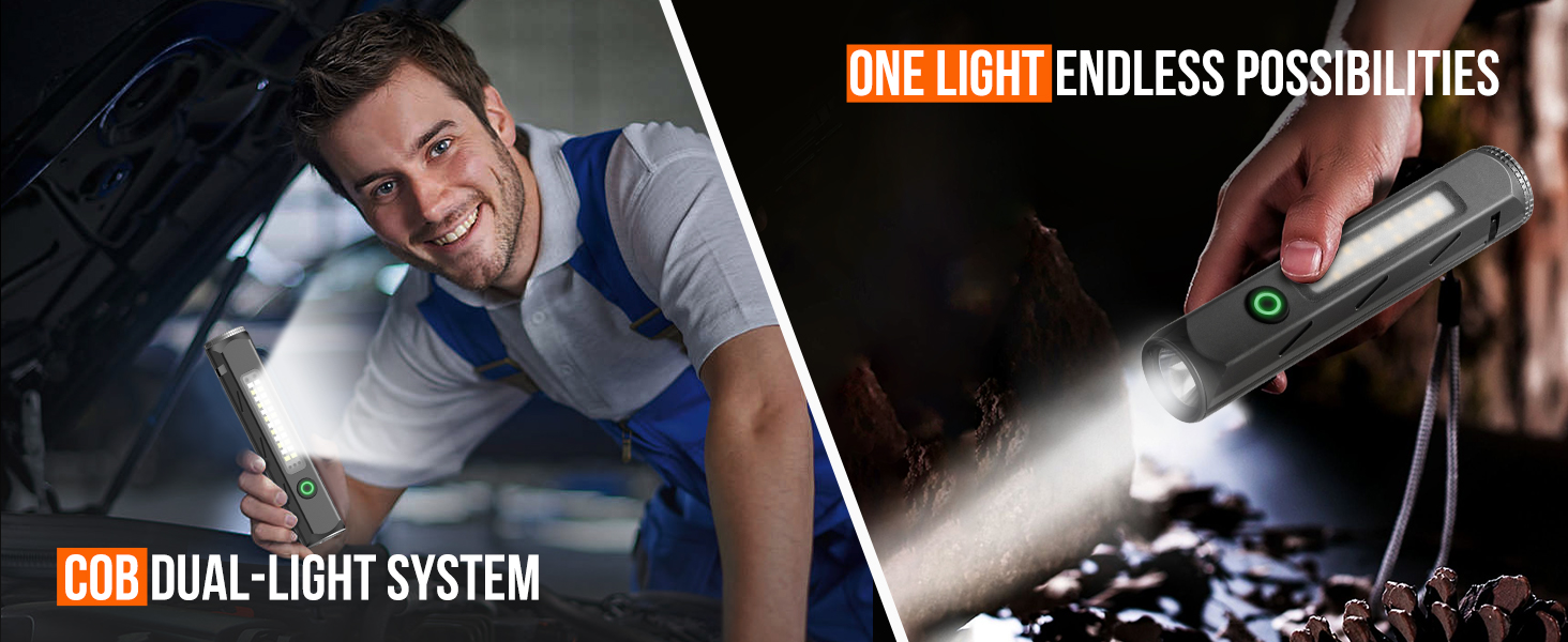 COB DUAL-LIGHT SYSTEM