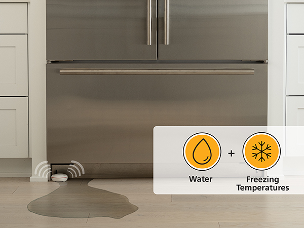 Kidde Safety Monitoring