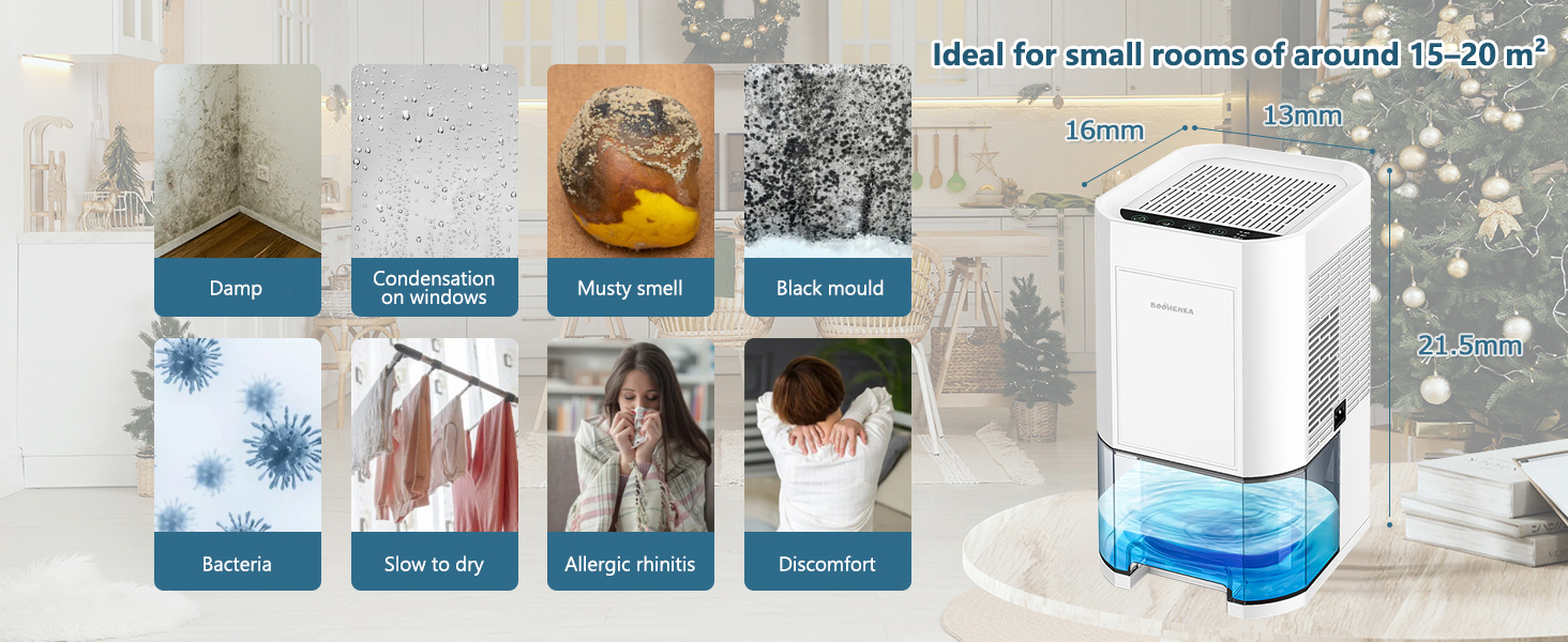 Dehumidifier for Home
