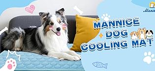 https://m.media-amazon.com/images/S/aplus-media-library-service-media/4ba689b2-7d7a-4c7b-8838-5cfea0193b1e.__CR57,0,1086,500_PT0_SX315_V1___.jpg