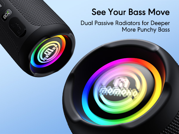 Dual Passive Radiators