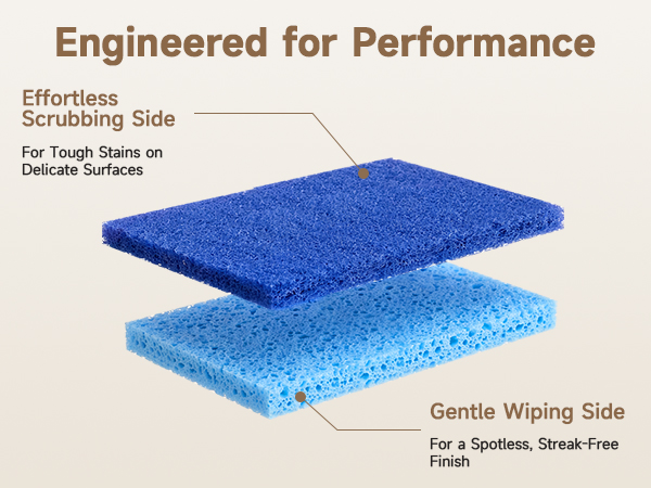 kitchen sponges