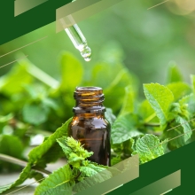 Peppermint Oil