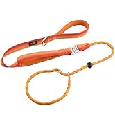 Arblina Slip Leads Dog Leash, 1/3" x6ft Full Reflective No Pull Rope Leash with Double Handle, 36...