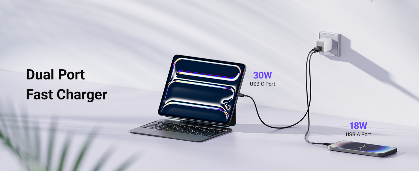 dual port fast charger