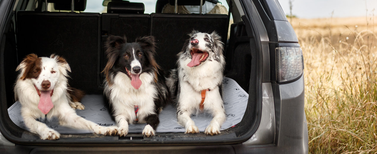 dog pee pads reusable