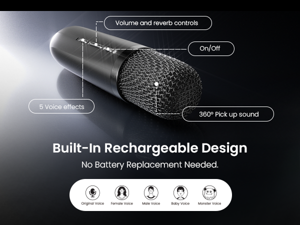 Karaoke Machine for Adults &amp; Kids