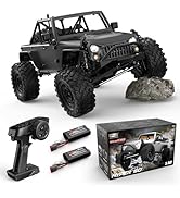 HYPER GO H12Y 1/12 Brushless 4X4 RC Rock Crawlers for Adults, Metal Case Waterproof 4WD Off-Road ...
