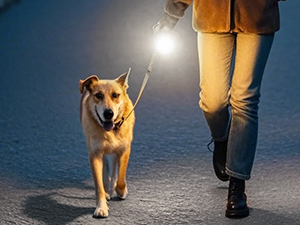 Bullet -Shaped Flashlight