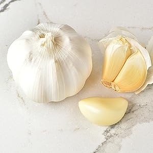 garlic