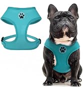 BINGPET Small Dog Harness - Breathable Mesh Puppy Cat Harnesses - No Pull Adjustable Dog Harness ...