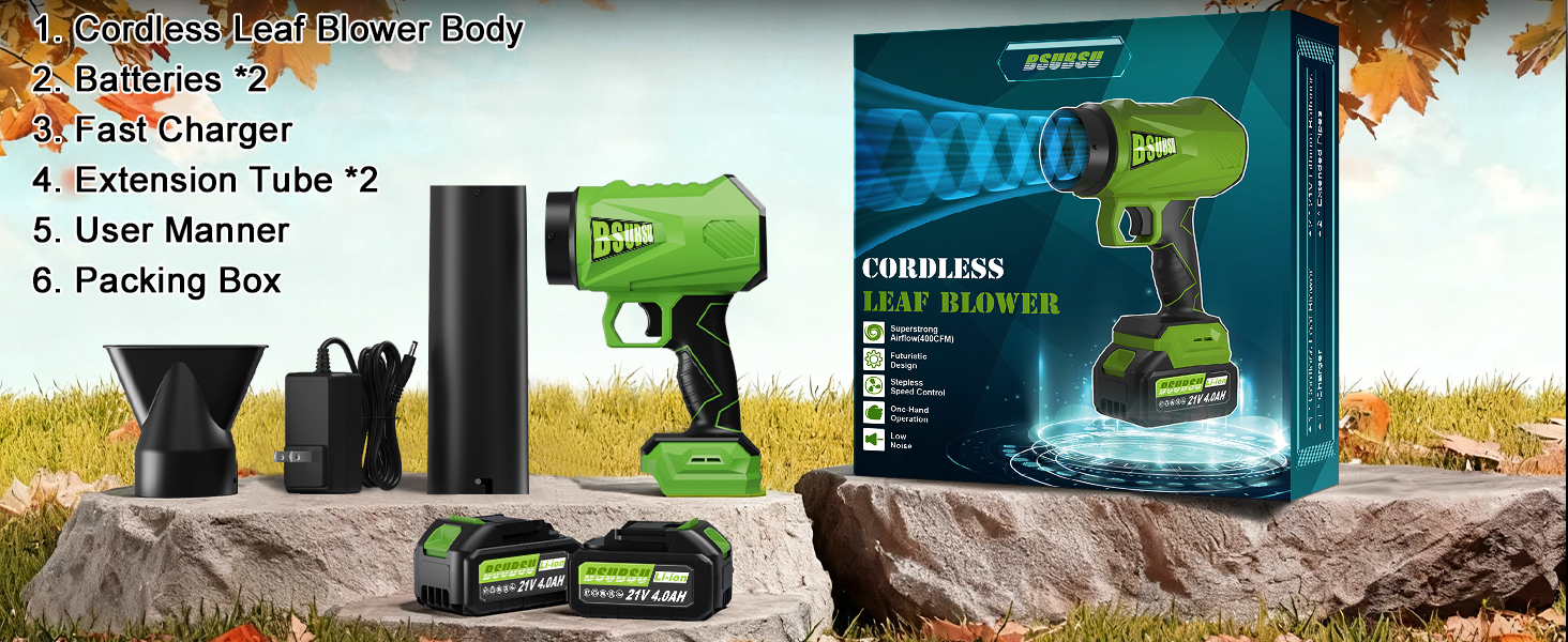 What else will you get besides BSUBSU Leaf Blower Cordless