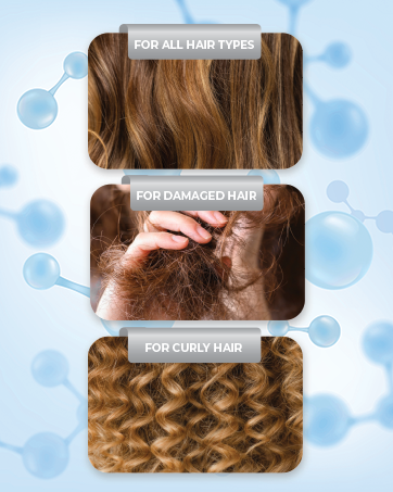 Hair Type Graphic