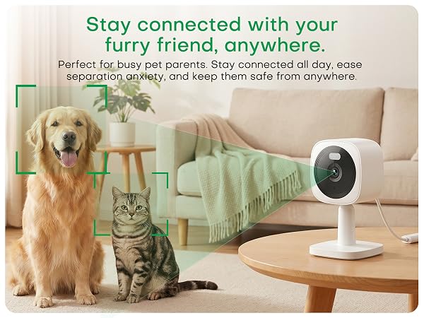 Text reads 'Stay connected with your furry friend, anywhere. Perfect for busy pet parents. Stay connected all day, while watching, playing, and keep them safe from anywhere.' Pet monitoring camera displayed on living room shelf with tabby cat and dog below.