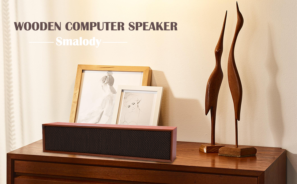 Computer Speakers