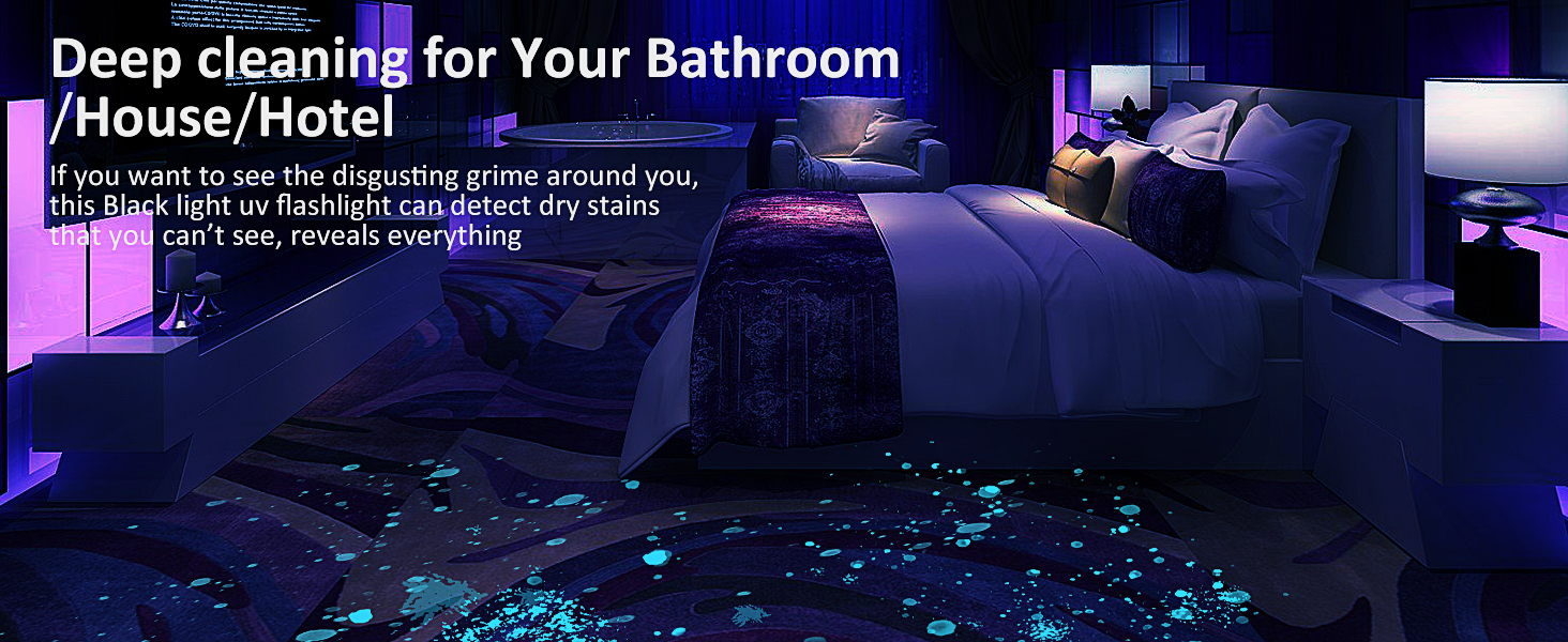 portable black light