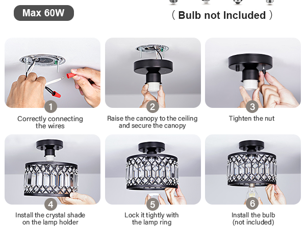 Crystal Black Ceiling Light