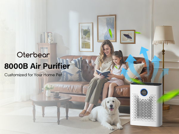 air purifiers for home large room