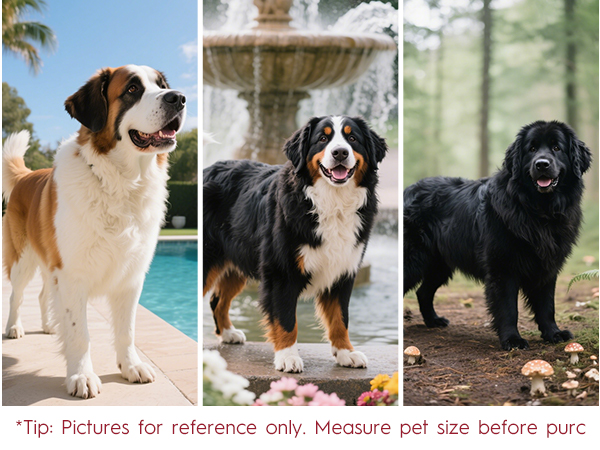 Our Puppy Harness and Small Dog Harness Has Tailored Sizes for Dachshunds and Other Companions!