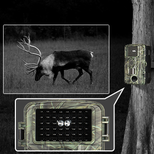 hunting camera