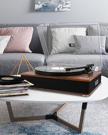 VINYL TURNTABLE