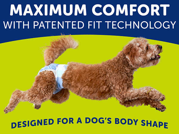 Maximum Comfort
