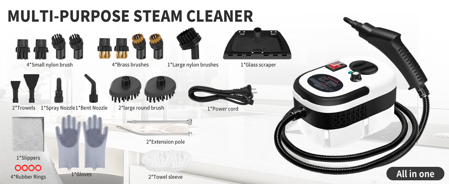 Steam Cleaner for Home