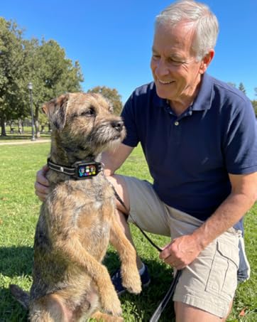 Bark and Shock Collar