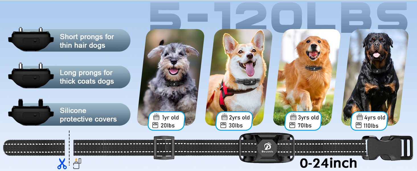 Bousnic Dog Training Collar Makes Everyday a Good Dog Day! 