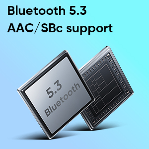 BT 5.3