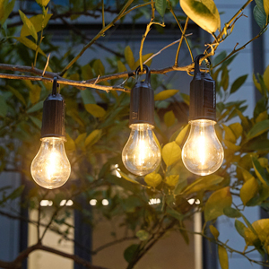 closed hooked hanging bulb