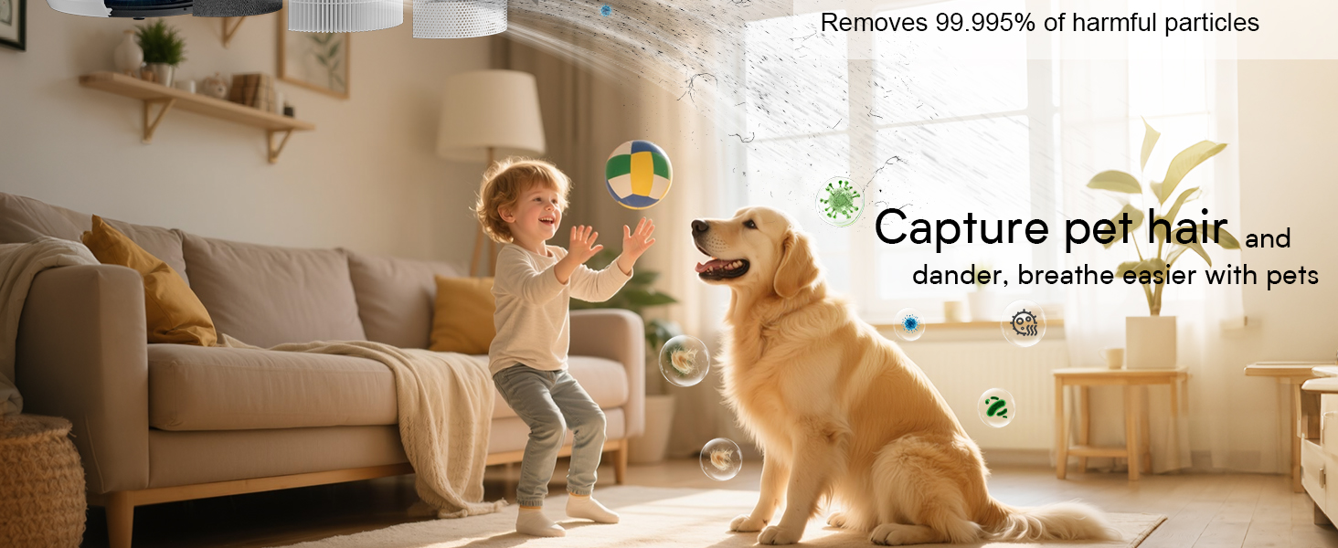air purifiers for home pets