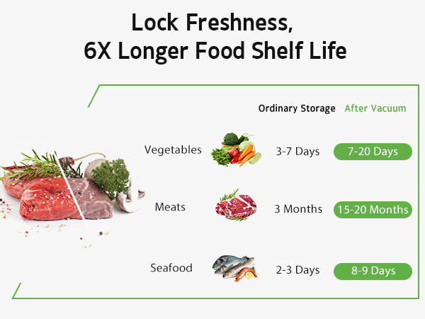 portable vacuum sealer