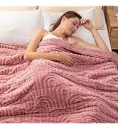 Wemore Jacquard Fleece Weighted Blanket Queen Size 60" x 80" 15lbs, Super Soft Cozy Sherpa Weight...
