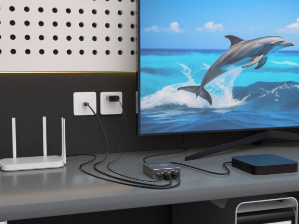 LAN ethernet splitter