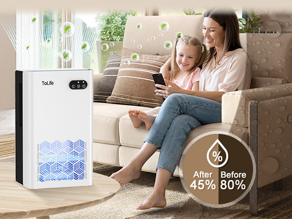 dehumidifiers for home