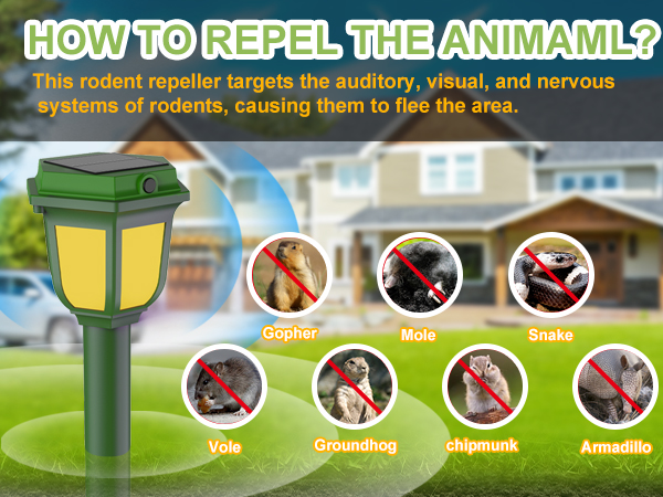 effectively repellent mouse gopher mole snake vole groundhog chipmunk armadillo